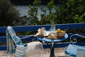 Lemon Tree